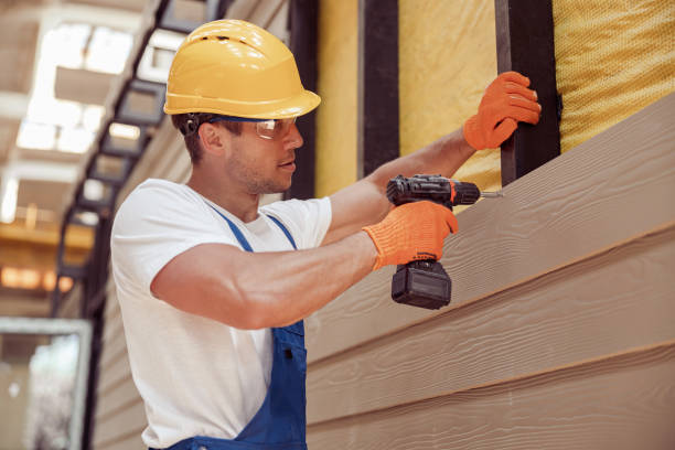 Best Brick Veneer Siding  in Daniels, WV